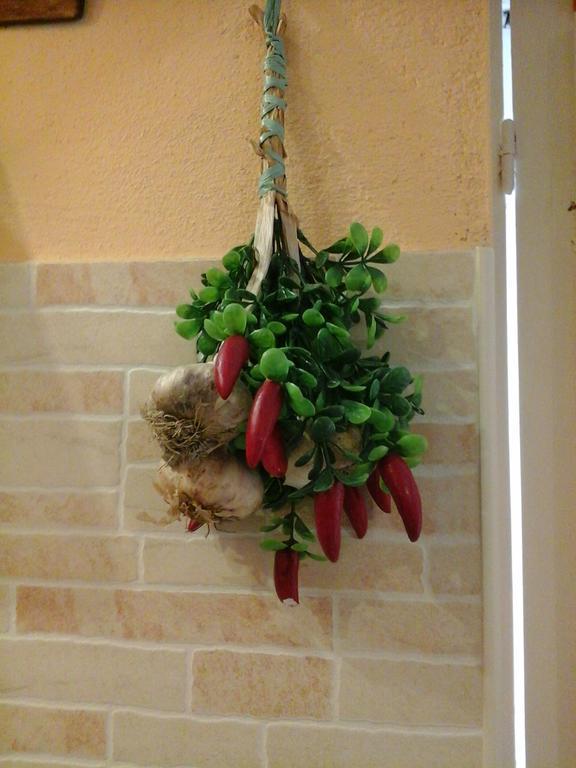 Apartment Lamarmora 58